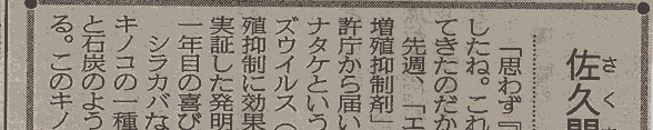 チャーガの新聞記事